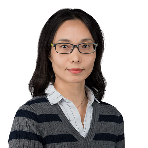 Prof. Yanwei Jia