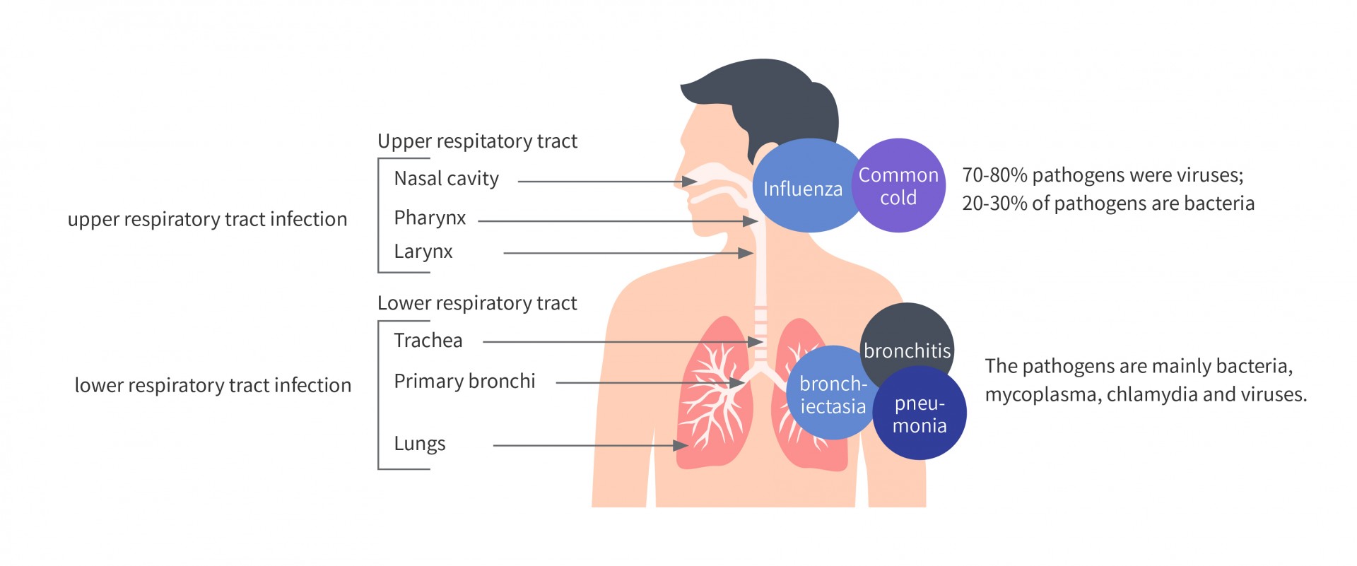 Simple, portable and flexible detection of respiratory pathogens