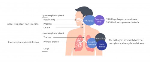 Simple, portable and flexible detection of respiratory pathogens